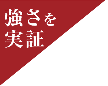 強さを実証