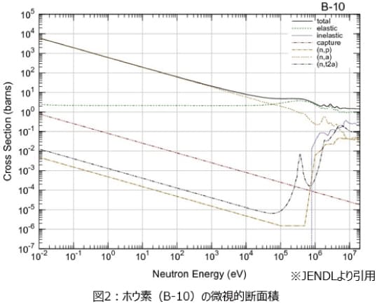 ホウ素（B-10）の微視的断面面積