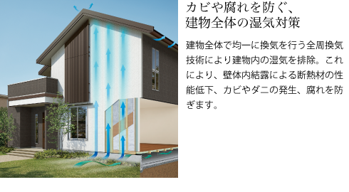 カビや腐れを防ぐ、建物全体の湿気対策　建物全体で均一に換気を行う全周換気技術により建物内の湿気を排除。これにより、壁体内結露による断熱材の性能低下、カビやダニの発生、腐れを防ぎます。