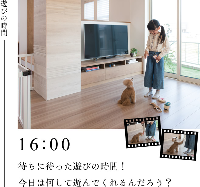 遊びの時間 16:00　待ちに待った遊びの時間！今日は何して遊んでくれるんだろう？