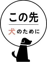 「この先」　犬のために