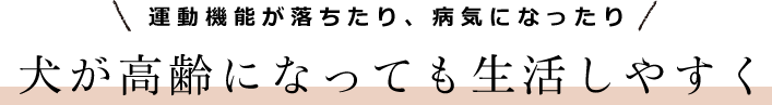 運動機能が落ちたり、病気になったり　犬が高齢になっても生活しやすく