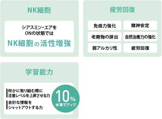 NK細胞　疲労回復・アンチエイジング　学習能力