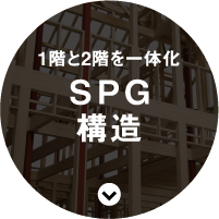 SPG構造